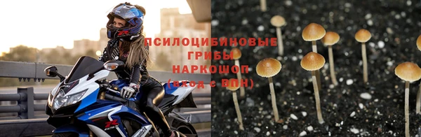 мдпв Беломорск