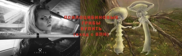 мдпв Беломорск