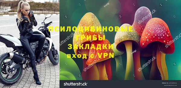 ALPHA PVP Белокуриха
