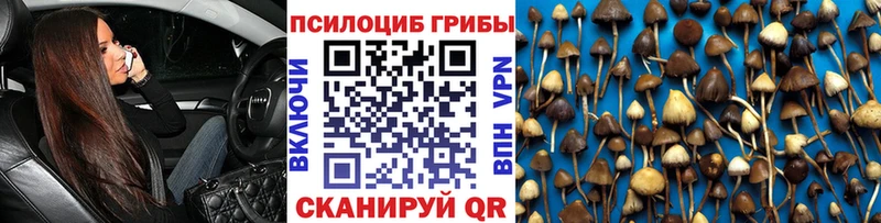 цены наркотик  Гулькевичи  Псилоцибиновые грибы Magic Shrooms 